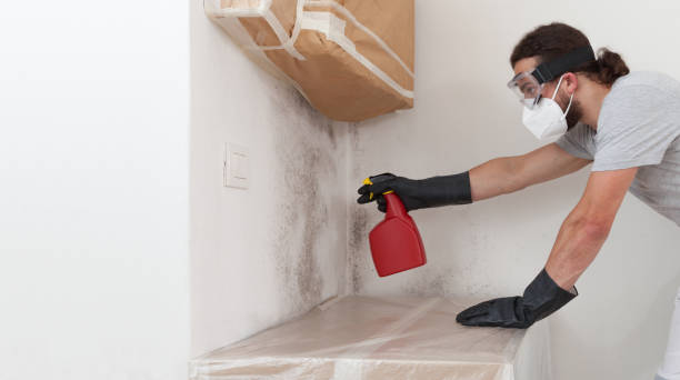 Professional Crawl Space Mold Removal technician working in Dayton, MN